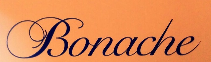What font is almost the B Font sample to identify the typeface on WhatFontIs