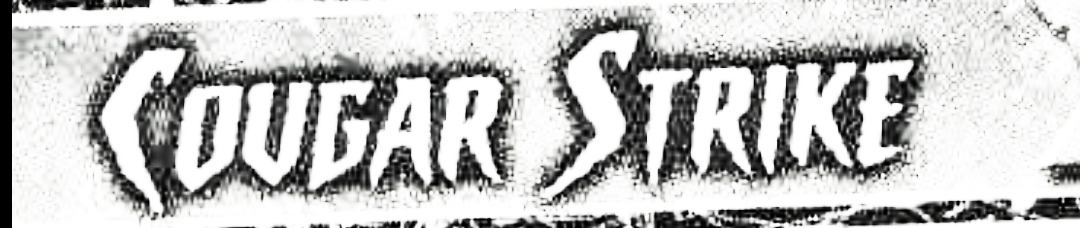 What's This Font? Font sample to identify the typeface on WhatFontIs