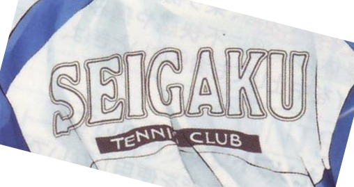 Seigaku Text Font sample to identify the typeface on WhatFontIs