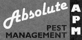 Absolute font Font sample to identify the typeface on WhatFontIs