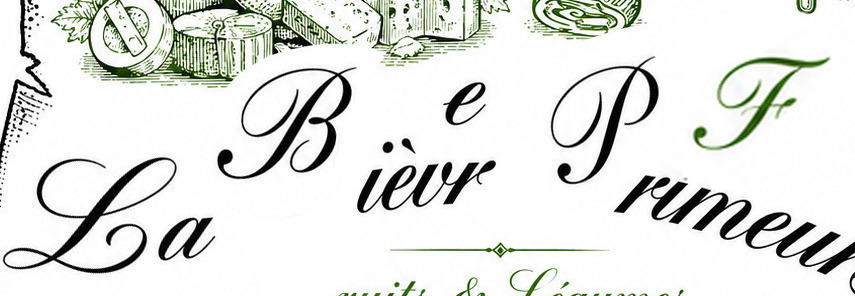 Recognize the font?