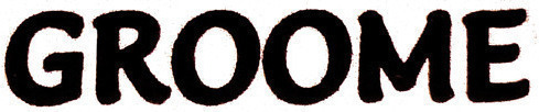 GROOME Font sample to identify the typeface on WhatFontIs