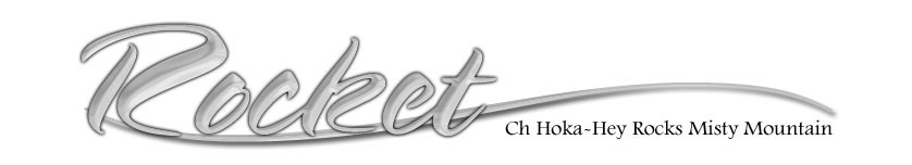 What font is 'Rocket' done in? Font sample to identify the typeface on WhatFontIs