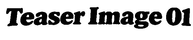 Teasee Image 01 Font sample to identify the typeface on WhatFontIs