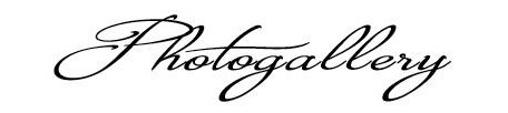 Photogallery Font sample to identify the typeface on WhatFontIs