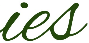 italic script Font sample to identify the typeface on WhatFontIs