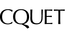 What the Q! Font sample to identify the typeface on WhatFontIs