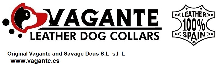 VAGANTE Font sample to identify the typeface on WhatFontIs