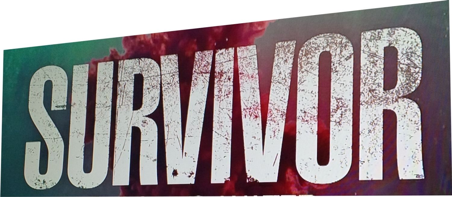 Survivor  Font sample to identify the typeface on WhatFontIs