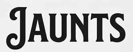Identify a font used by Google Gemini Font sample to identify the typeface on WhatFontIs