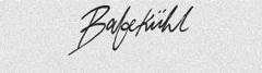Babekuhl font Font sample to identify the typeface on WhatFontIs