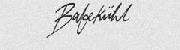 Babekuhl font Font sample uploaded by sodapopcorn to identify the typeface on WhatFontIs