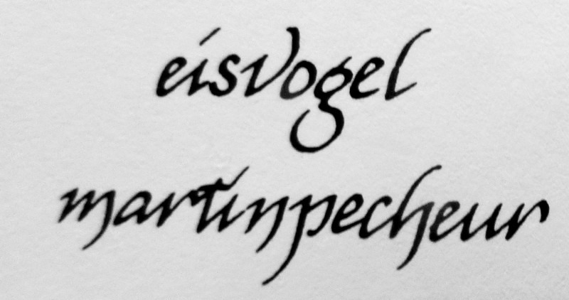 font? Font sample to identify the typeface on WhatFontIs