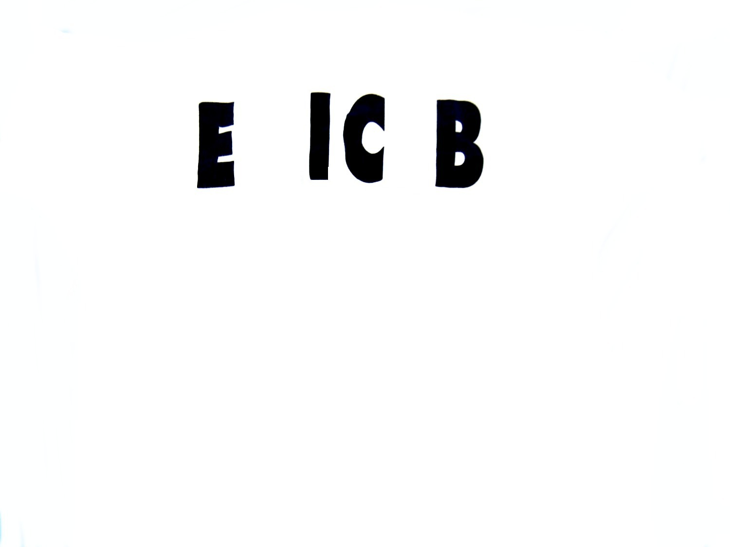  ee Font sample to identify the typeface on WhatFontIs