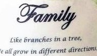 Family Font sample to identify the typeface on WhatFontIs