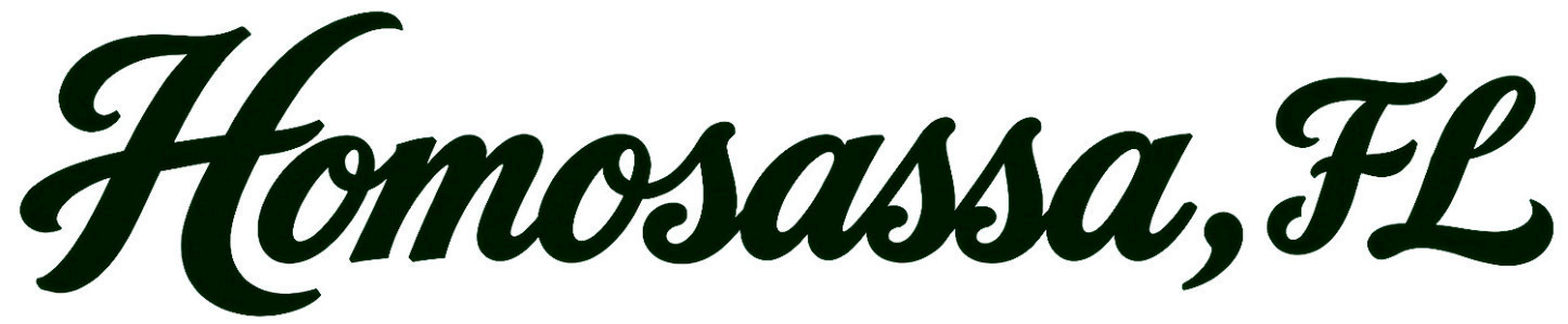 Homosassa Font Font sample to identify the typeface on WhatFontIs