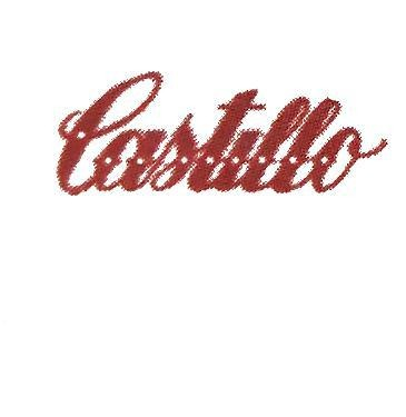 What script or western font is this? Font sample to identify the typeface on WhatFontIs