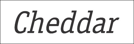 Converted text to curve and lost the font. Font sample to identify the typeface on WhatFontIs