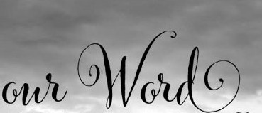 Searching for this font Font sample to identify the typeface on WhatFontIs