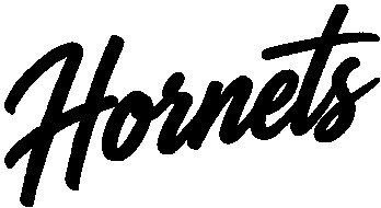 Hornets Font sample to identify the typeface on WhatFontIs