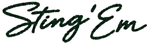 Sting Font sample to identify the typeface on WhatFontIs