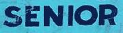 What retro font is this "SENIOR"? Font sample uploaded by deone2u to identify the typeface on WhatFontIs