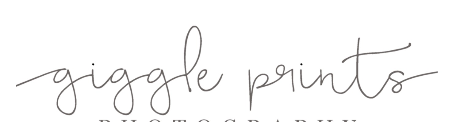 handwritten cursive script Font sample to identify the typeface on WhatFontIs
