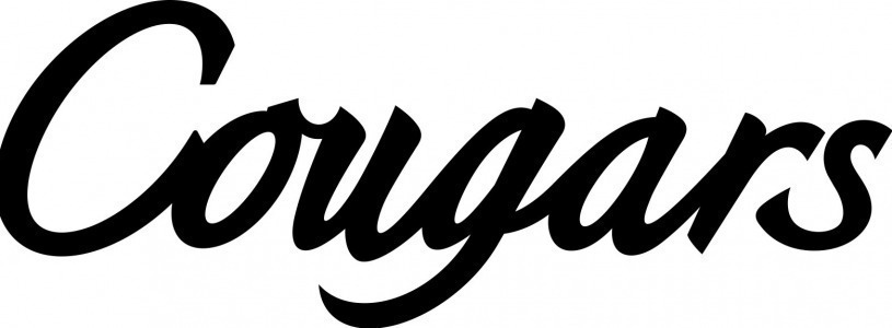 Cougars Font sample to identify the typeface on WhatFontIs
