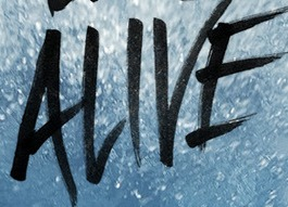 ID this Font? Font sample to identify the typeface on WhatFontIs