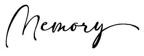 Memory Font sample to identify the typeface on WhatFontIs