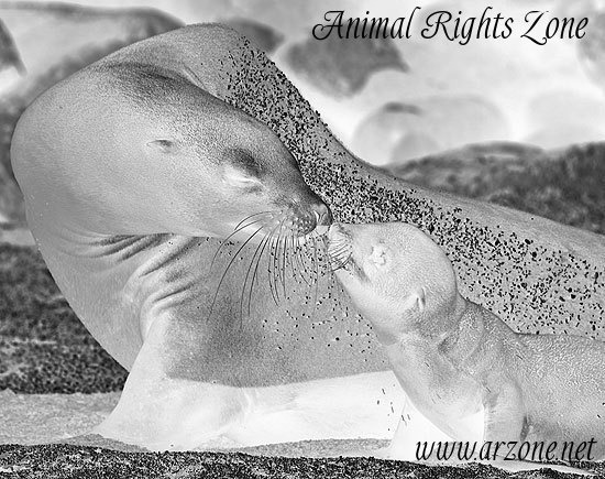 I would very much appreciate any help in identifying this font that I seem to have lost. Thank you!  Font sample to identify the typeface on WhatFontIs