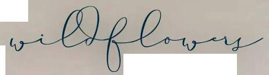 wildflowers Font sample to identify the typeface on WhatFontIs