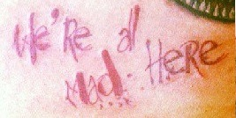 tatto image Font sample to identify the typeface on WhatFontIs