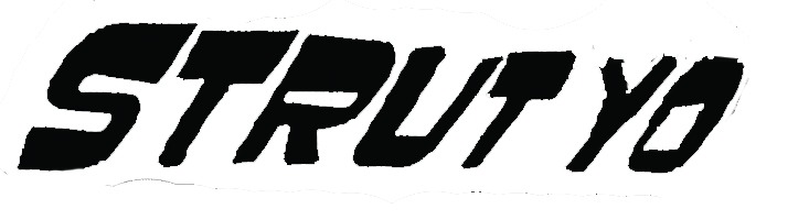 part of a Logo from the side of a car in 2010 Font sample to identify the typeface on WhatFontIs