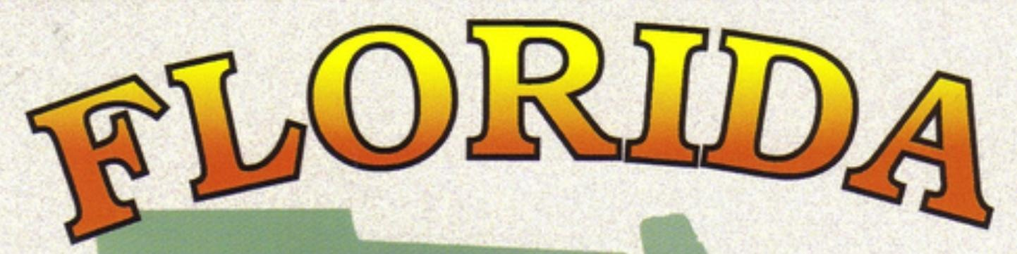 FLORIDA LICENSE PLATE Font sample to identify the typeface on WhatFontIs