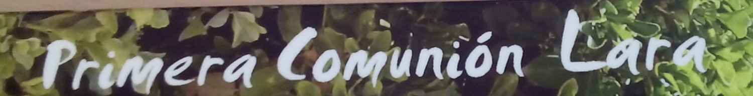 What is this? Font sample to identify the typeface on WhatFontIs