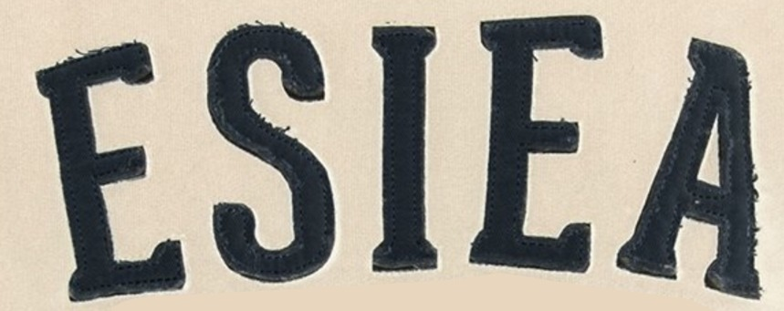 ESIEA Font sample to identify the typeface on WhatFontIs