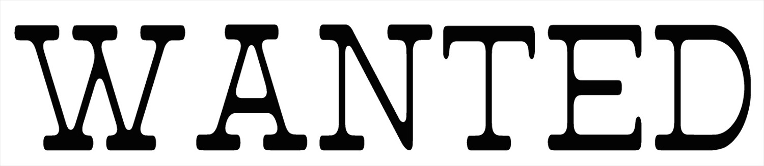 WANTED FONT Font sample to identify the typeface on WhatFontIs