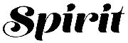 Spirit Typeface Font sample uploaded by  to identify the typeface on WhatFontIs