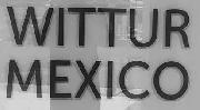 WITTUR MEXICO