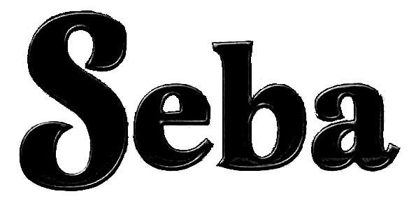 What Font? Any Idea Font sample to identify the typeface on WhatFontIs