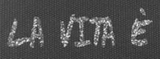 Any one know this font?