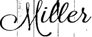 Which Font is this? Font sample to identify the typeface on WhatFontIs
