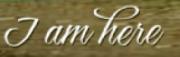 What is this font