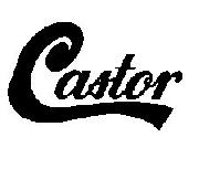 Castor font Font sample uploaded by Maedosgemeoslcgmailc to identify the typeface on WhatFontIs