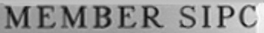 MEMBER SIPC Font sample to identify the typeface on WhatFontIs