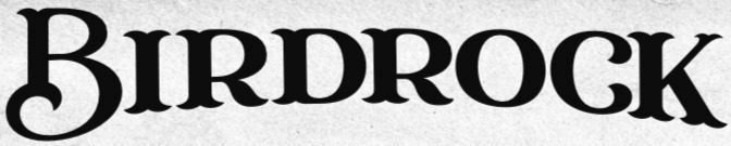 Birdrock Font sample to identify the typeface on WhatFontIs