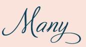 Script font? 