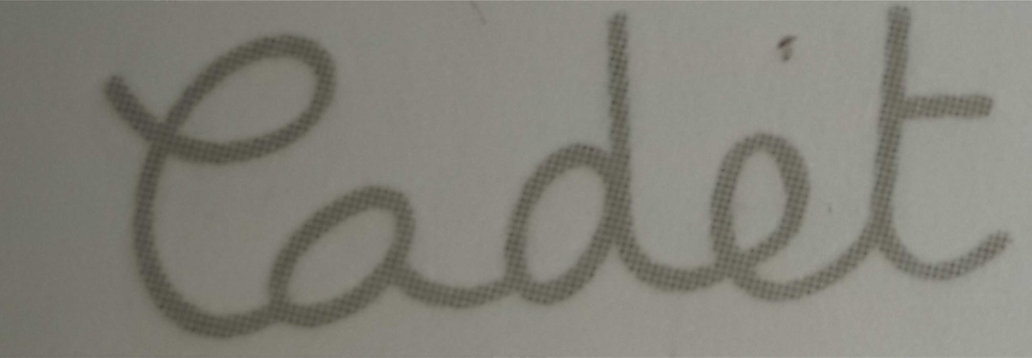 WHICH FONT IS IT? Font sample to identify the typeface on WhatFontIs