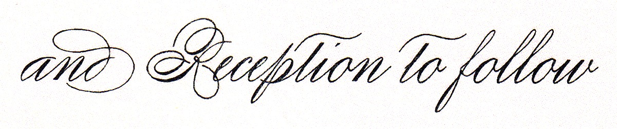 fancy script font Font sample to identify the typeface on WhatFontIs